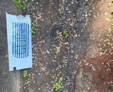 Alunos criam “Canteiro de Africanidades” para ensinar história e cultura afro-brasileira