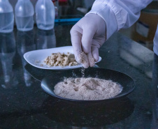 Startup apoiada pelo Estado recebe R$2 milhões de aceleradora belga