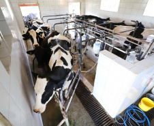 Paraná regulamenta lei que proíbe reconstituição de leite em pó importado