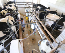 Paraná regulamenta lei que proíbe reconstituição de leite em pó importado