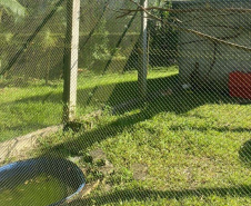 Pronto Atendimento a Animais Silvestres (PAAS) do Parque Estadual do Palmito, em Paranaguá, é referência no atendimento à fauna silvestre