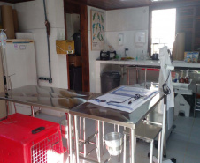 Pronto Atendimento a Animais Silvestres (PAAS) do Parque Estadual do Palmito, em Paranaguá, é referência no atendimento à fauna silvestre