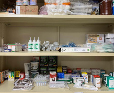 Pronto Atendimento a Animais Silvestres (PAAS) do Parque Estadual do Palmito, em Paranaguá, é referência no atendimento à fauna silvestre