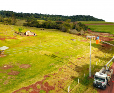  Com 25 mil km de novas redes rurais, Paraná Trifásico fortalece a agroindústria com energia mais potente e estável