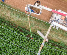  Com 25 mil km de novas redes rurais, Paraná Trifásico fortalece a agroindústria com energia mais potente e estável