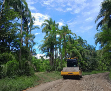 PR-405 Conservação Guaraqueçaba