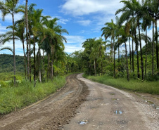 PR-405 Conservação Guaraqueçaba