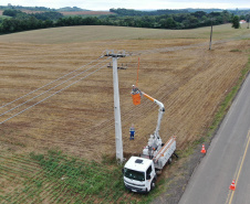  Com 25 mil km de novas redes rurais, Paraná Trifásico fortalece a agroindústria com energia mais potente e estável