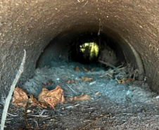 Sanepar investe R$ 1,4 milhão na limpeza de galerias de água de chuva para proteger as praias