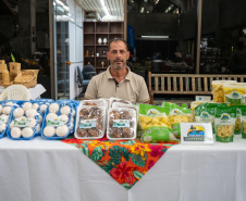 PRODUÇÃO COGUMELOS