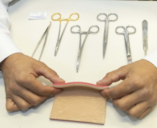 Incubada pelo Tecpar, empresa produz pele artificial de animais para simular cirurgias veterinárias