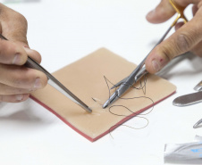 Incubada pelo Tecpar, empresa produz pele artificial de animais para simular cirurgias veterinárias