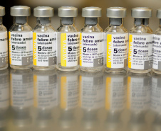 Perto do verão: Saúde reforça necessidade da vacinação e cuidados contra a febre amarela