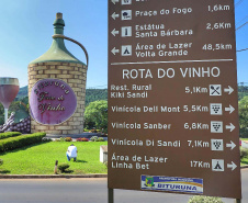 Turismo Rural no Paraná pesquisa mostra setor em expansão e perfil qualificado de empreendedores