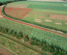 Programa de apoio à viticultura completa seis anos e beneficia mais de 400 produtores familiares