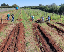 Programa de apoio à viticultura completa seis anos e beneficia mais de 400 produtores familiares
