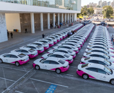 Avanço histórico nas políticas para mulheres marca o ano de 2025 no Paraná