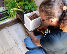 Vai viajar? Sesa alerta para os cuidados com a dengue em casa e fora dela