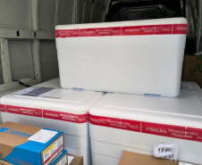 Paraná inicia a distribuição da vacina contra o Vírus Sincicial Respiratório para as Regionais de Saúde