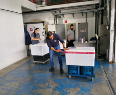 Paraná inicia a distribuição da vacina contra o Vírus Sincicial Respiratório para as Regionais de Saúde