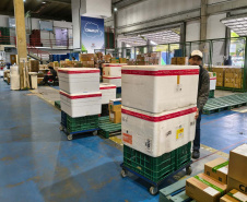 Paraná inicia a distribuição da vacina contra o Vírus Sincicial Respiratório para as Regionais de Saúde