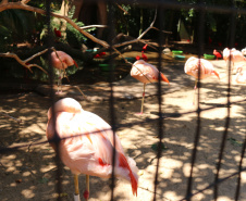 Unioeste testa crachá que lê imagens através de IA