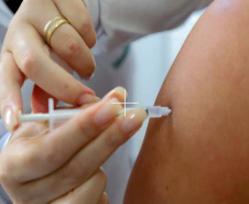 Perto do verão: Saúde reforça necessidade da vacinação e cuidados contra a febre amarela