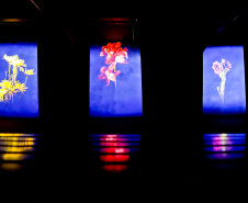 Última semana da exposição “Através”, da artista Mariana Palma