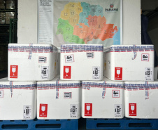 SUS Paraná passa a oferecer novo medicamento para uso na prevenção do vírus sincicial em bebês