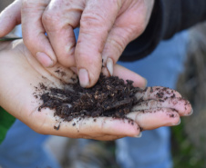 Copel - Programa de hortas da Copel ganhou 32 novas unidades em 2025