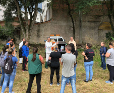 Sesa inicia novo período epidemiológico da Dengue