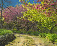 Paraná conta com 78 mil “Maracanãs” de área protegida por Reservas Particulares do Patrimônio Natural