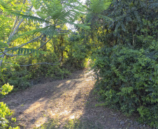 Paraná conta com 78 mil “Maracanãs” de área protegida por Reservas Particulares do Patrimônio Natural