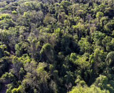 Paraná conta com 78 mil “Maracanãs” de área protegida por Reservas Particulares do Patrimônio Natural