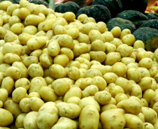 Setor de hortigranjeiros do Paraná começa 2026 com preços mais acessíveis ao consumidor, segundo Deral