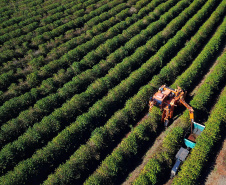 Agro soma R$ 1,26 bilhão em contratações do BRDE no Paraná e banco prepara programação especial para Show Rural 2026