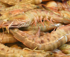  Período de defeso do camarão começa nesta quarta-feira (28) no Paraná e se estende até o dia 30 de abril.
