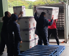 SUS Paraná passa a oferecer novo medicamento para uso na prevenção do vírus sincicial em bebês