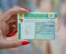 Mais de 22,4 mil paranaenses têm CNH renovada de forma gratuita no primeiro dia de implantação da renovação automática