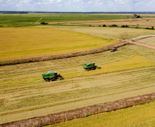 Agro soma R$ 1,26 bilhão em contratações do BRDE no Paraná e banco prepara programação especial para Show Rural 2026