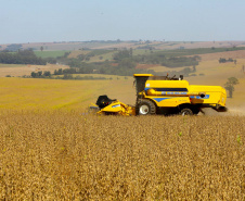 Safra de soja do Paraná se aproxima do recorde e reforça otimismo no campo, aponta Deral