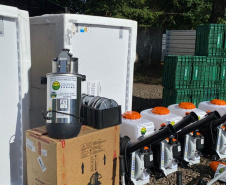 Procura pelo Coopera Paraná cresce 50% e inscrições já superam os números da edição anterior