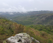 Créditos de biodiversidade