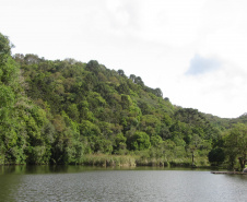 Créditos de biodiversidade