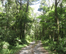 Créditos de biodiversidade