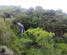 Créditos de biodiversidade