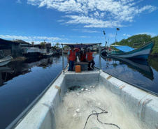 Balanço Fecap - Vistoria Guaratuba