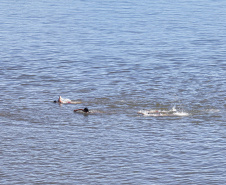 Troféu Elite movimenta Porto São José e treina bombeiros para resgates