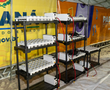 Chegada Drones para o show do Alok