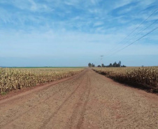 estrada ligando Mamborê ao distrito de Guarani,
